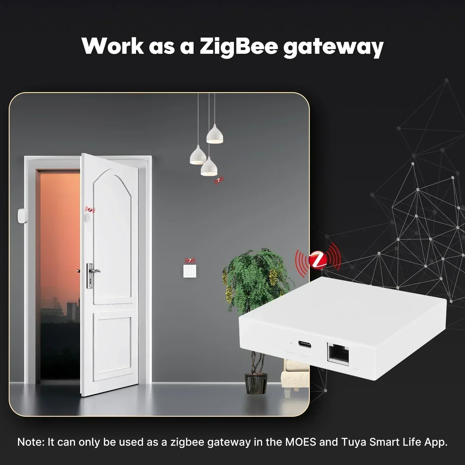 MOES Tuya Zigbee Matter Thread - Diy Home Electronics recensie en prijs