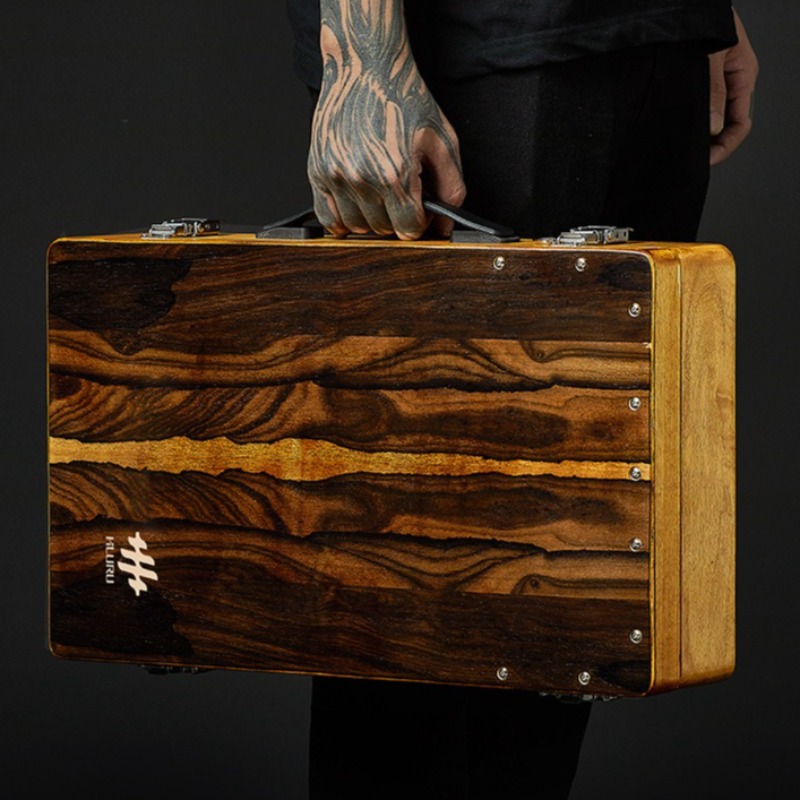 Houten Box Drum Professionele  - Diy Electronics Projects For Adults recensie en prijs