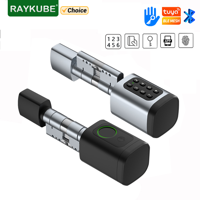 RAYKUBE V1 Tuya BLE TT Lock Sl - Diy Home Electronics recensie en prijs