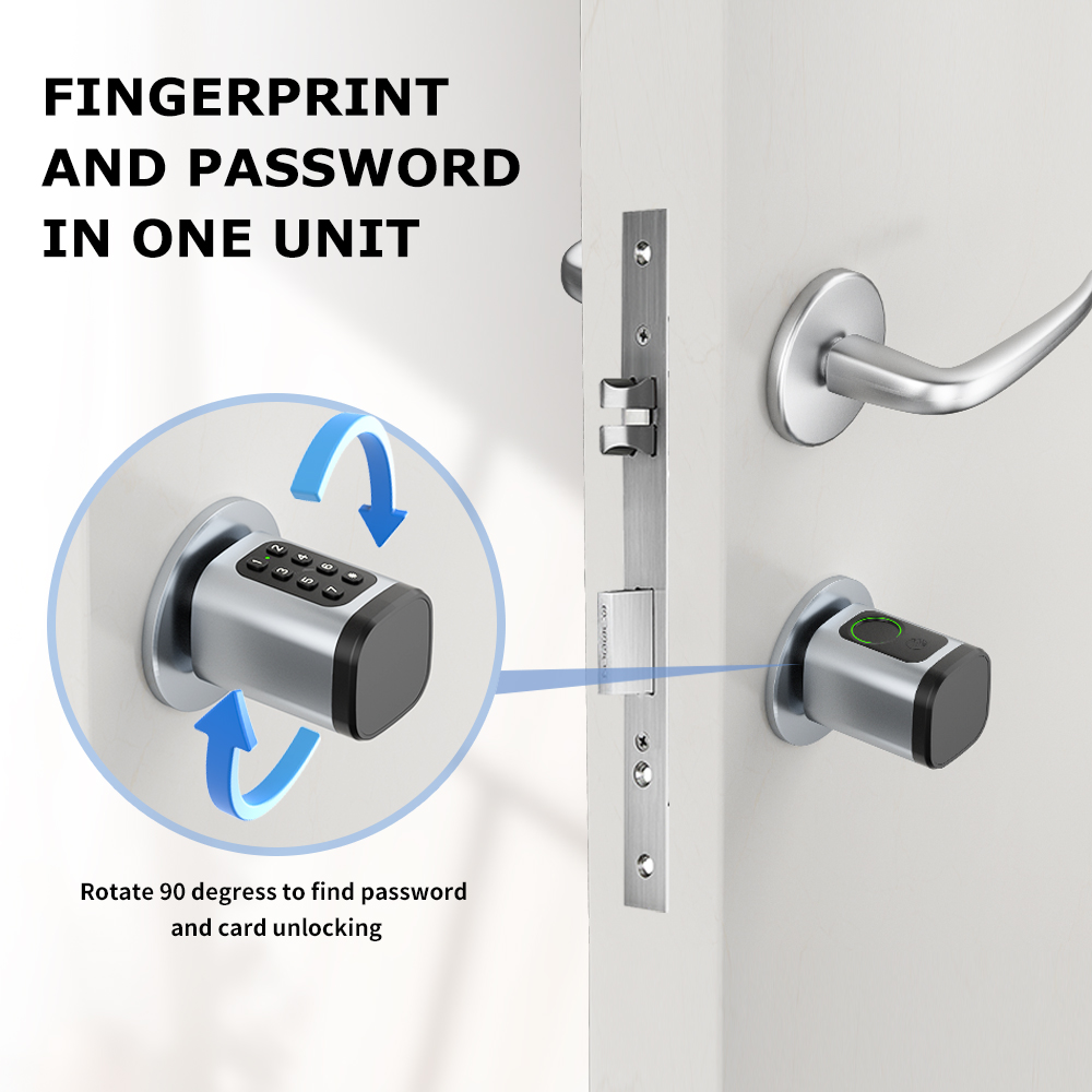 RAYKUBE V1 Tuya BLE TT Lock Sl - Diy Home Electronics recensie en prijs