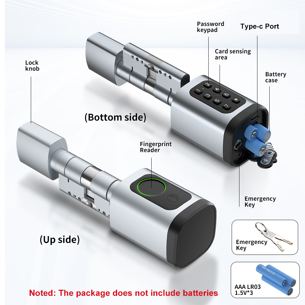 RAYKUBE V1 Tuya BLE TT Lock Sl - Diy Home Electronics recensie en prijs